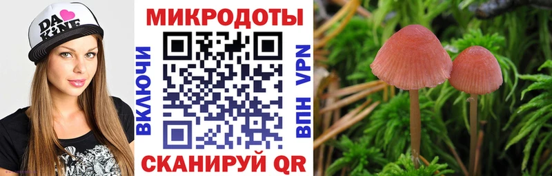 Купить где  Светлоград  Псилоцибиновые грибы Psilocybe 